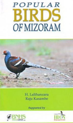 Popular Birds of Mizoram