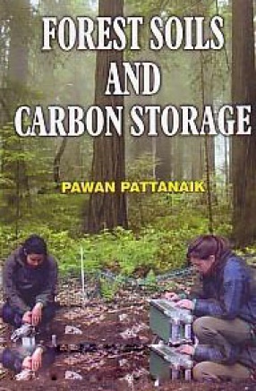 Forest Soils and Carbon Storage