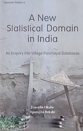 A New Statistical Domain in India: An Enquiry into Village Panchayat Databases