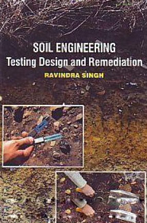 Soil Engineering: Testing Design and Remediation