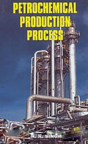 Petrochemical Production Processes