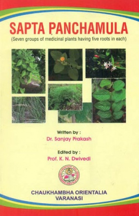Sapta Panchamula: Seven Groups of Medicinal Plants Having Five Roots in Each