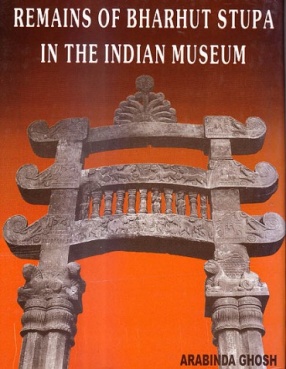 Remains of Bharhut Stupa In The Indian Museum