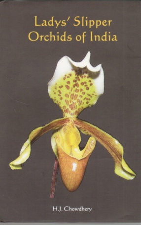 Lady's Slipper Orchids of India