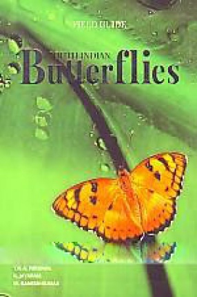 South Indian Butterflies: Field Guide