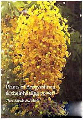 Plants of Arogyashram & Their Healing Powers