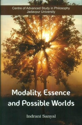 Modality Essence and Possible Worlds
