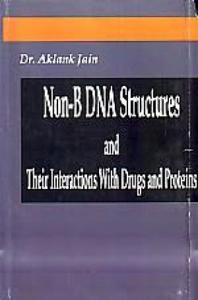 Non-B DNA Structures and Their Interactions With Drugs and Proteins