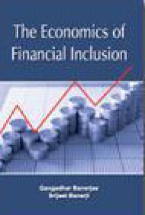 The Economics of Financial Inclusion