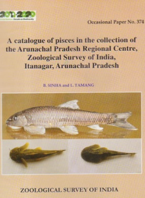 A Catalogue of Pisces in the Collection of the Arunachal Pradesh Regional Centre, Zoological Survey of India, Itanagar, Arunachal Pradesh