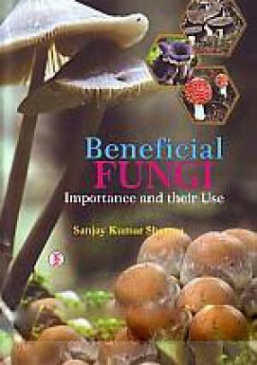 Beneficial Fungi Importance and Their Use
