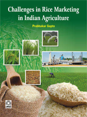 Challenges in Rice Marketing in Indian Agriculture