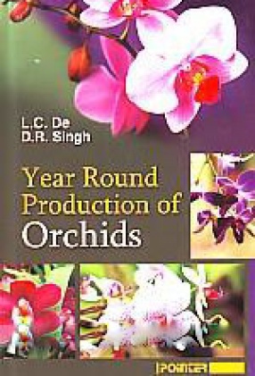 Year Round Production of Orchids