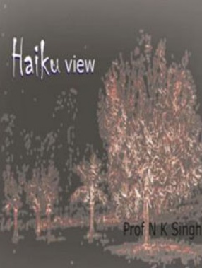 Haiku View