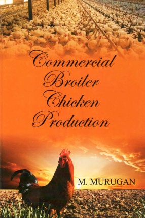 Commercial Broiler Chicken Production