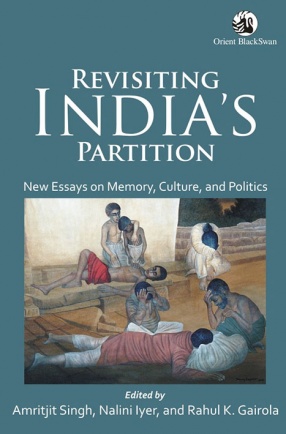 Revisiting India’s Partition: Essays on Memory, Culture, and Politics