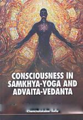 Consciousness in Samkhya-Yoga and Advaita-Vedanta