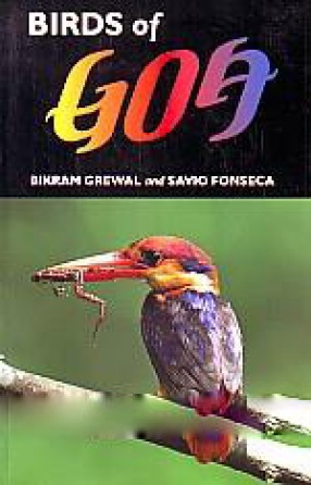 Birds of Goa