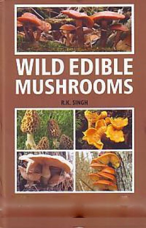 Wild Edible Mushrooms