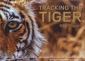 Tracking the Tiger