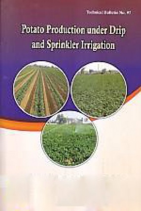 Potato Production Under Drip as Sprinkler Irrigation