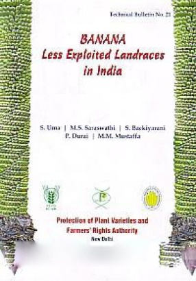 Banana: Less Exploited Landraces in India