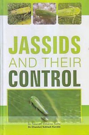Jassids and Their Control