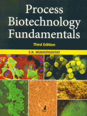 Process Biotechnology Fundamentals