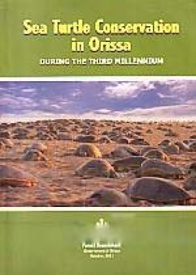 Sea Turtle Conservation in Orissa: During the Third Millennium