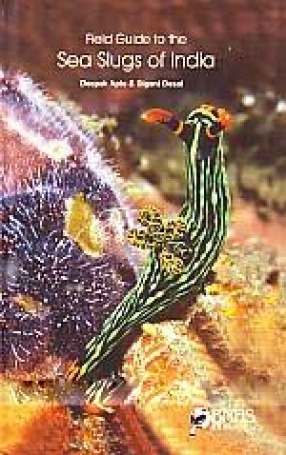 Field Guide to the Sea Slugs of India