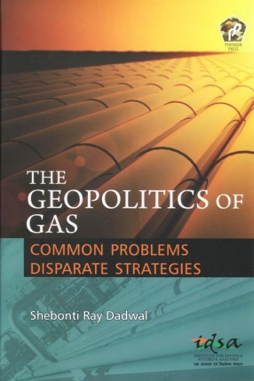 The Geopolitics of Gas: Common Problems Disparate Strategies