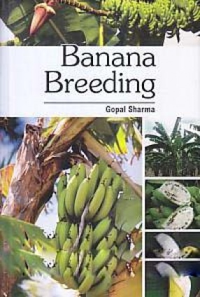 Banana Breeding