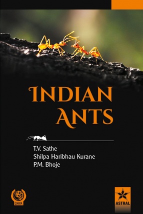 Indian Ants
