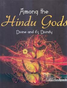 Among the Hindu Gods: Divine and it's Divinity