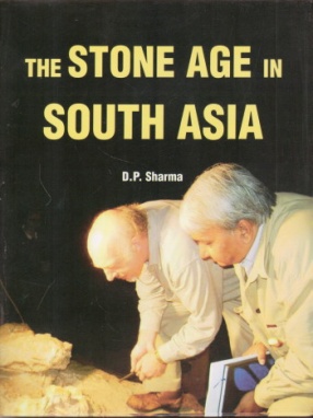 The Stone Age in South Asia