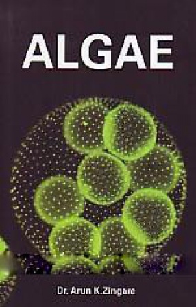 Algae