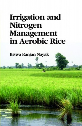 Irrigation and Nitrogen Management in Aerobic Rice