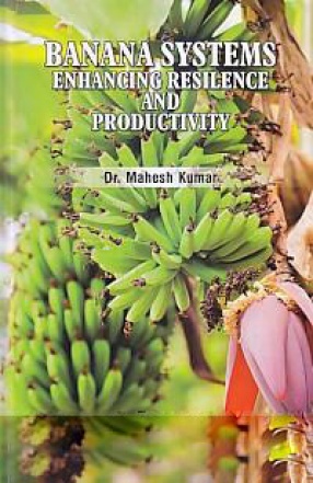 Banana Systems: Enhancing Resilience and Productivity