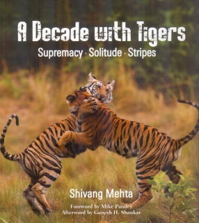 A Decade With Tigers: Supremacy Solitude Stripes