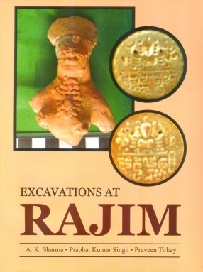 Excavations At Rajim