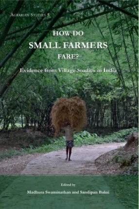 How Do Small Farmers Fare?: Evidence from Village Studies in India