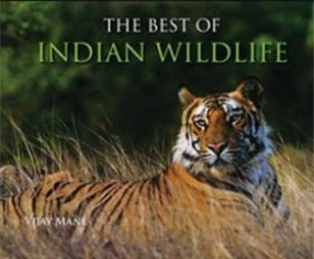 The Best of Indian Wildlife