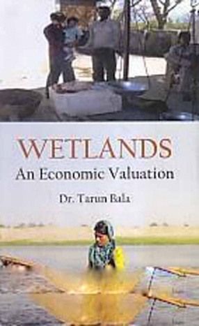 Wetlands: An Economic Valuation