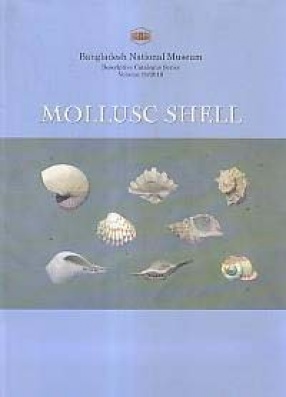 Mollusc Shells in Bangladesh National Museum