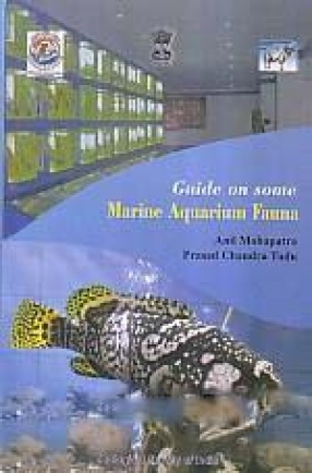 Guide on Some Marine Aquarium Fauna