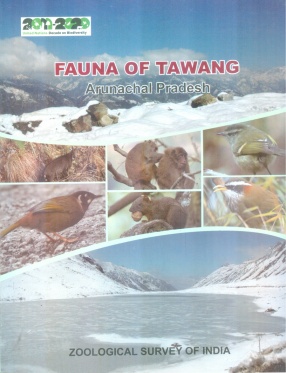 Fauna of Tawang Arunachal Pradesh