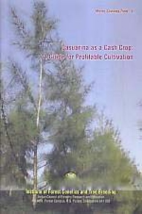 Casuarina As a Cash Crop: A Guide for Profitable Cultivation