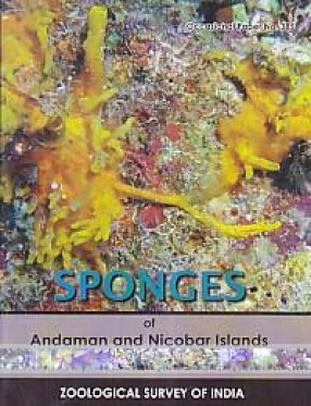 Sponges of Andaman and Nicobar Islands