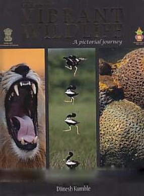 Gujarat's Vibrant Wildlife: A Pictorial Journey