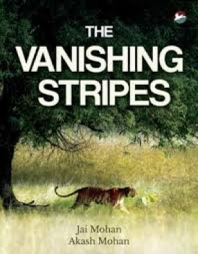 The Vanishing Stripes